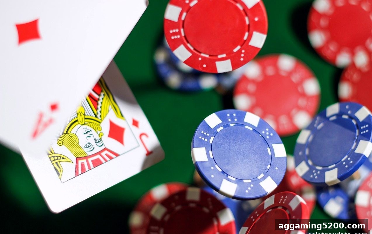 波胆玩法与签到福利深度解析|电子游戏试玩导航带你玩转棋牌