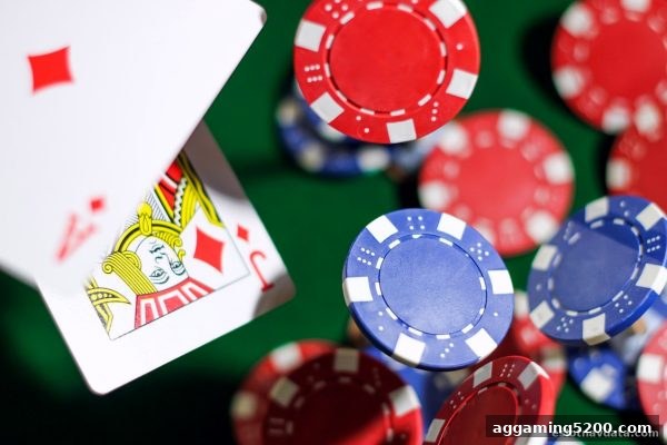 波胆玩法与签到福利深度解析｜电子游戏试玩导航带你玩转棋牌