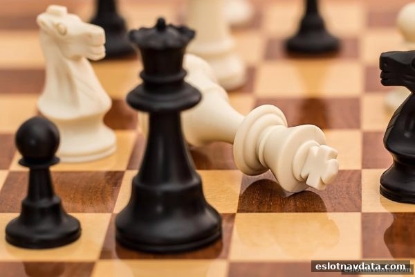 电子游戏试玩导航深度解析：围棋棋手核心素养与高效训练之道