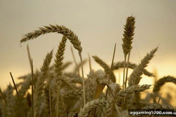 全新解读：幸运飞艇首存现金回馈玩法指南——电子游戏试玩导航带你入门