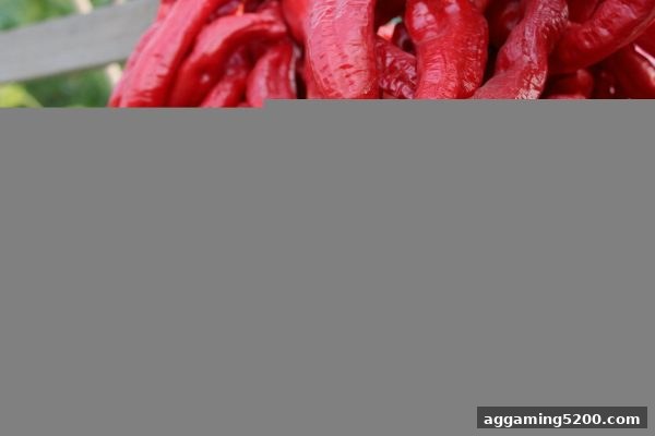 电子游戏试玩导航 | 签到积分全攻略：从机制到实战，赋能二十一点进阶